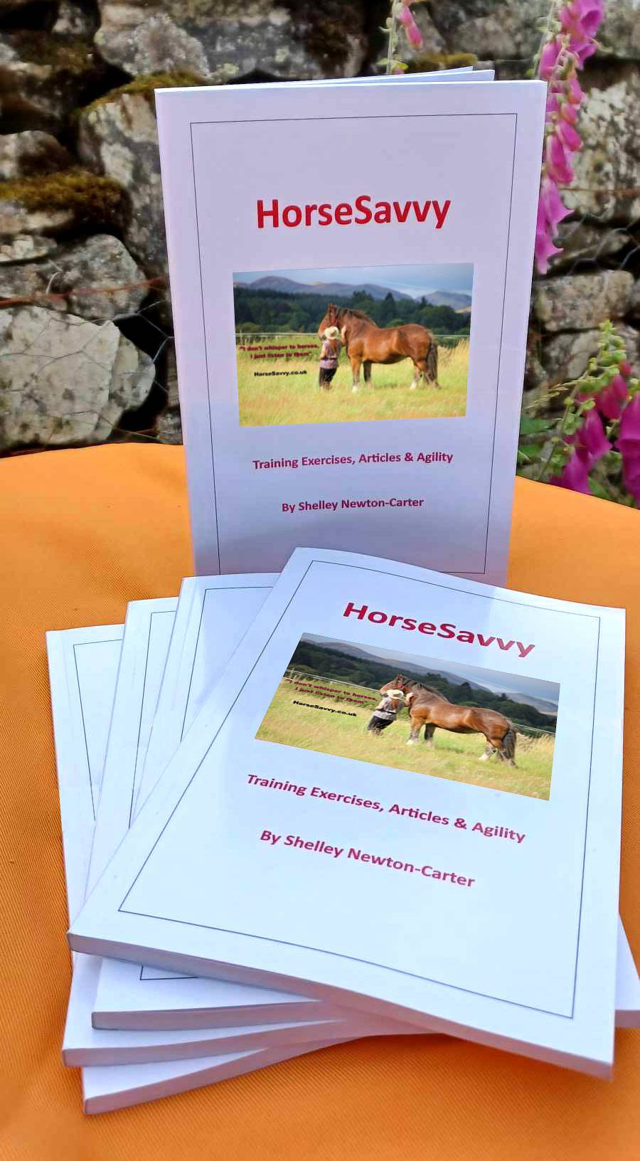 Horsesavvy Book on sale at Amazon