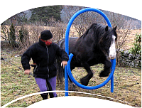 Shelley & Tara Agility