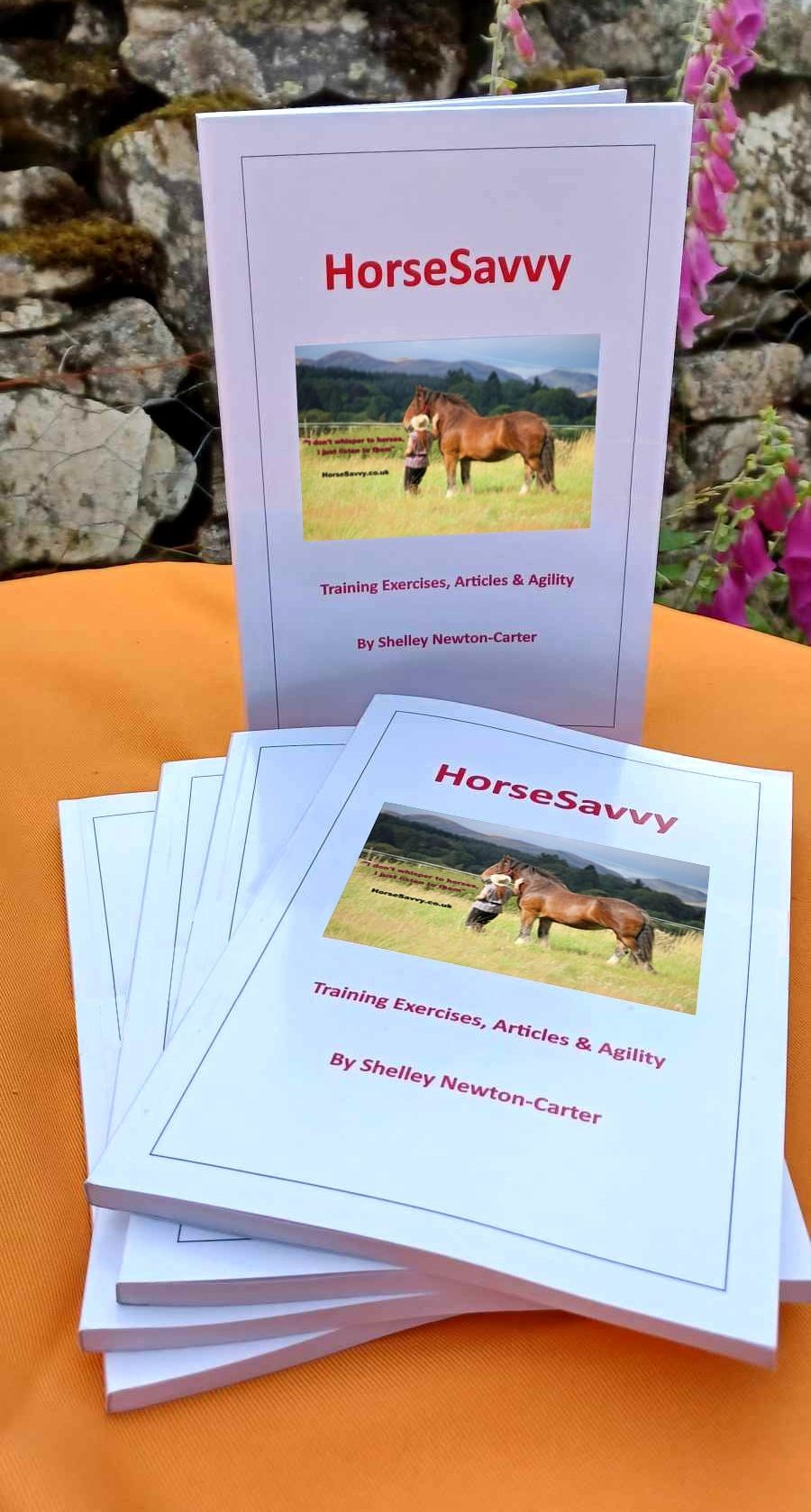 Horsesavvy Book on sale at Amazon