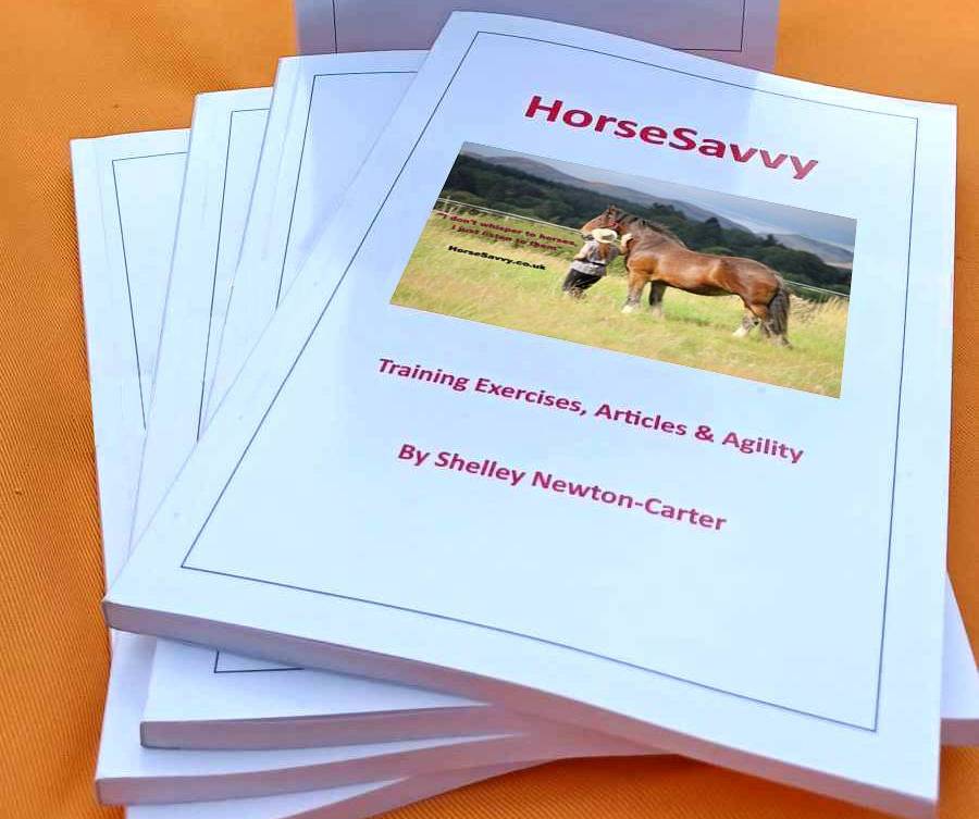 Horsesavvy Book on sale at Amazon